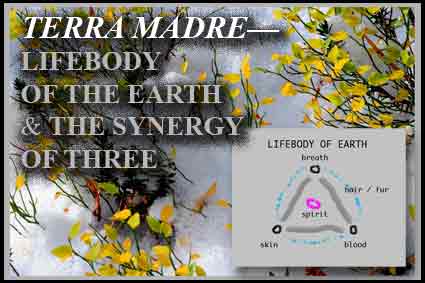 terra madre, lifebody of the Earth