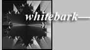 whitebark icon