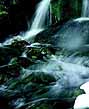 Mountain Spring