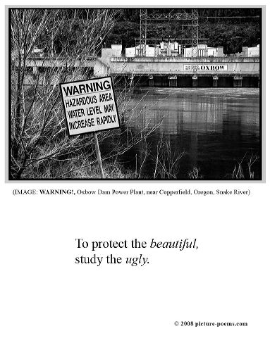 poster_oxbow-warning.jpg