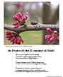 Poster: Buds