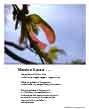 Poster: musica sacra