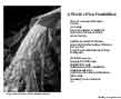 Poster: New World
