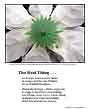 Poster: Real Thing