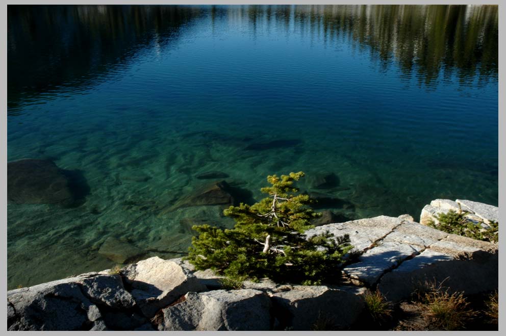 Alpine Lake, composition with Subalpine Fir 