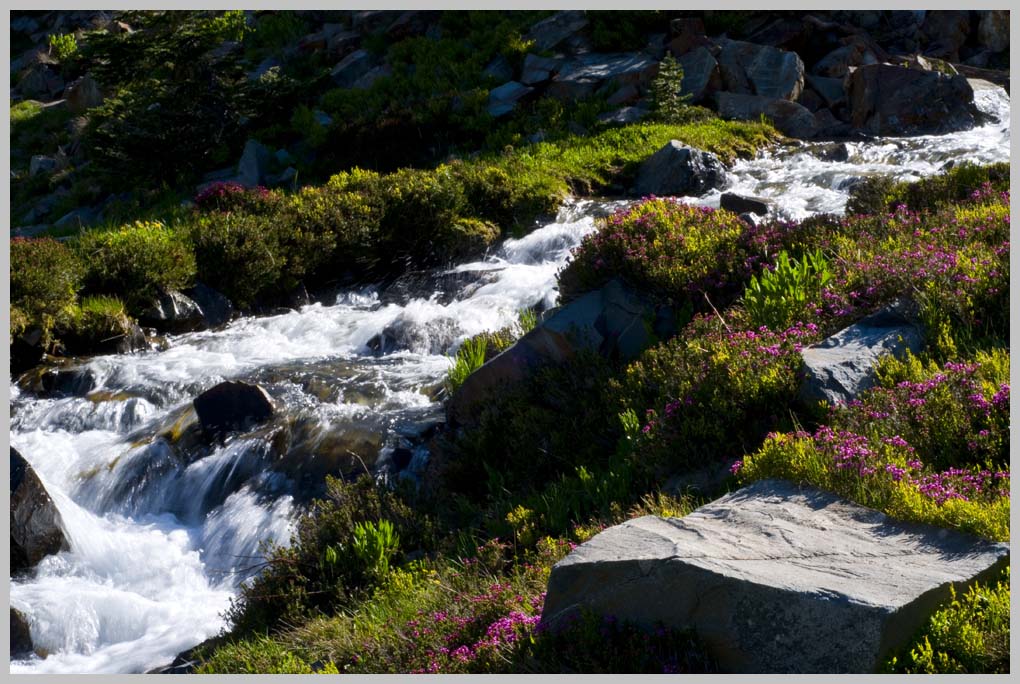 ALPINE STREAM at 2400 m. end of July, Eagle Cap Wilderness