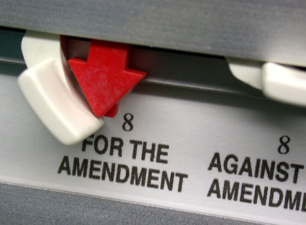for the amendment