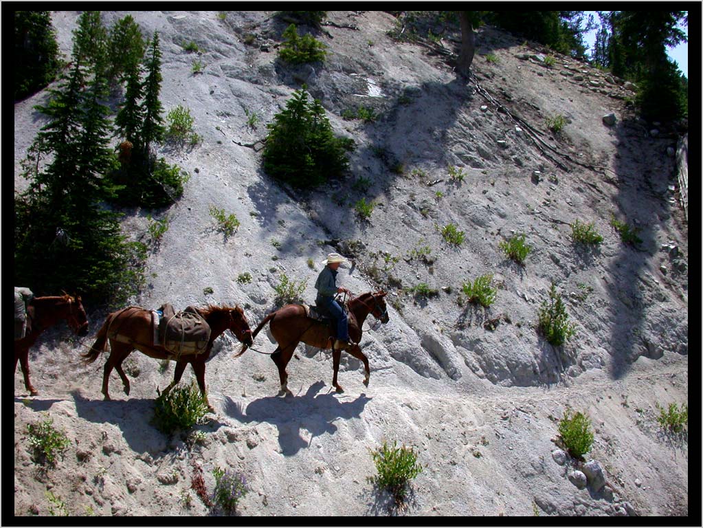 CLIFF CREGO | THE WALLOWAS ON HORSEBACK–Expert horseman and farrier, Tommy McClure