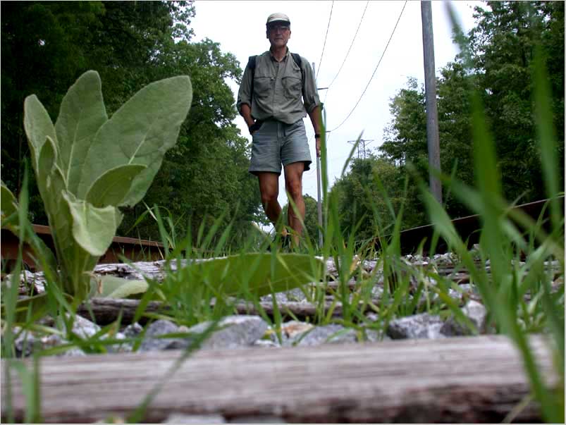 fieldwork spring