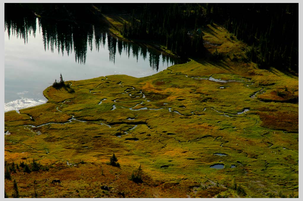 CLIFF CREGO |  Hidden Lake, Eagle Cap Wilderness—Alpine Lake at ± 2200 meters