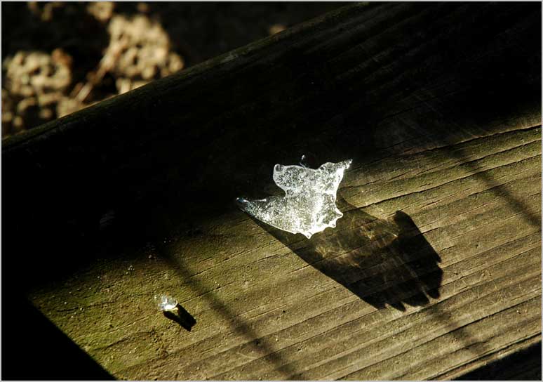 ice chips, west light