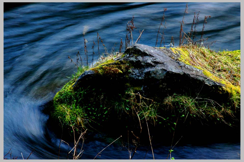CLIFF CREGO | Moss. Rock. Flow. On the Metolius River, Central Cascades