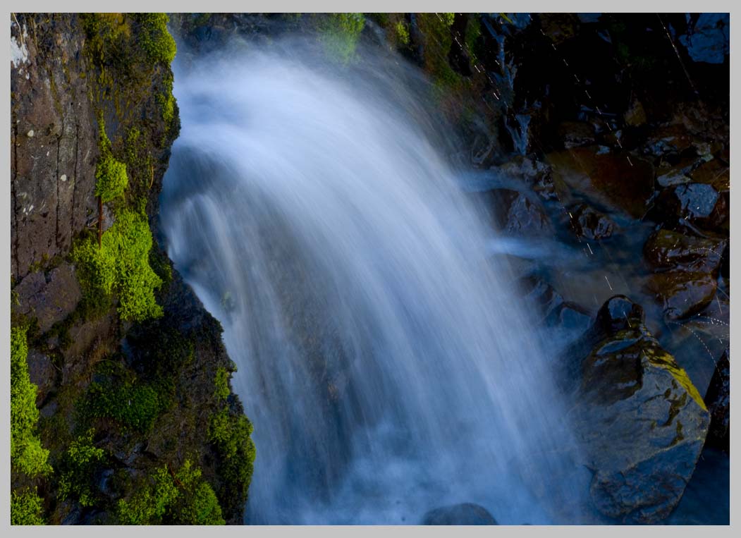 DIPPER FALLS, moss on rock, w/ water drops