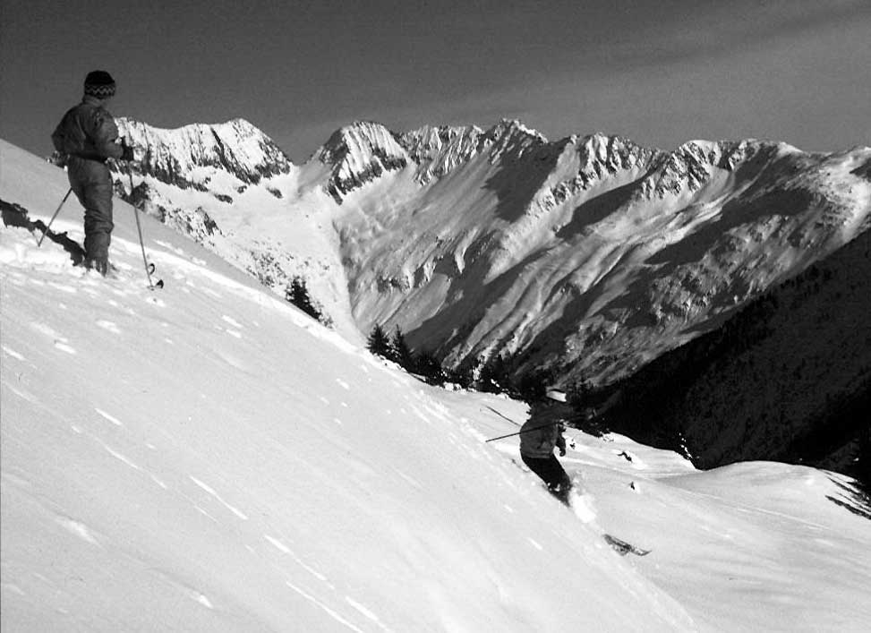 mountain skiing, the alps
