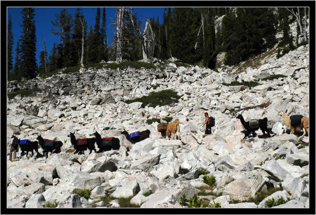 RAZ RASMUSSEN, of Wallowa LLamas, traversing granite boulder  field in South Wallowas