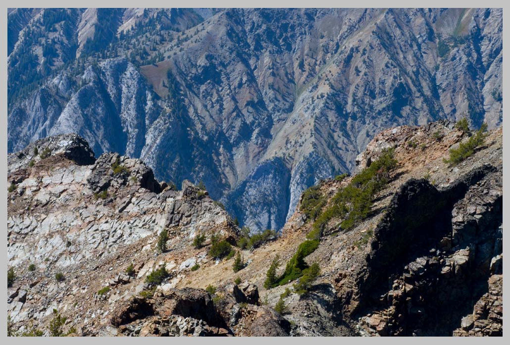 WILD Wallowa Ridgeline, just under Krag Peak