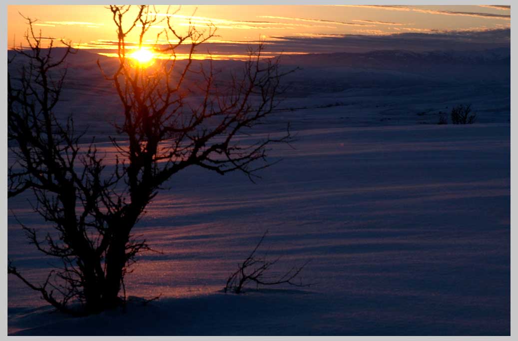  Snow Sunclipse