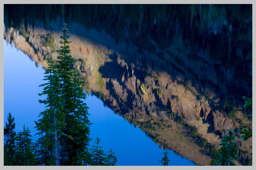 SPIRE, SUBALPINE, or ROCKY MOUNTAIN Fir (Abies lasciocarpa),  Eagle Cap Wilderness, Oregon