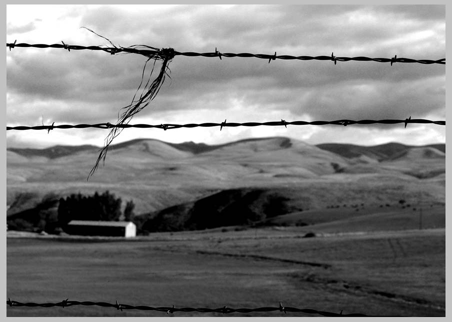 CLIFF CREGO: View Through Barbed-wire, Oregon landscape