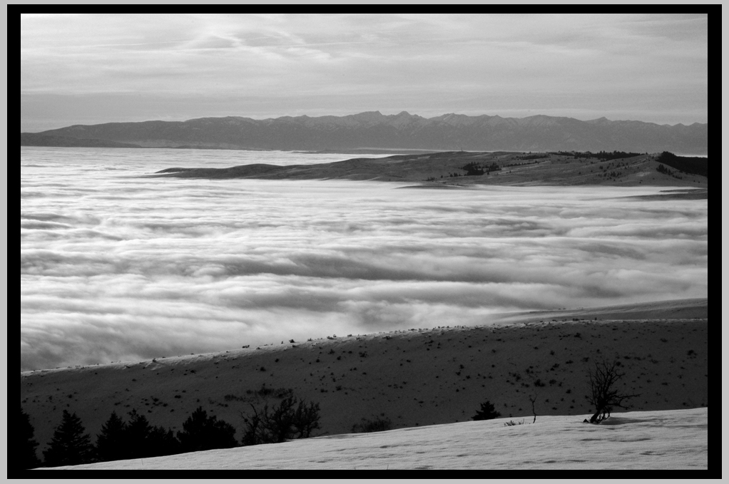 View to Elkhorns