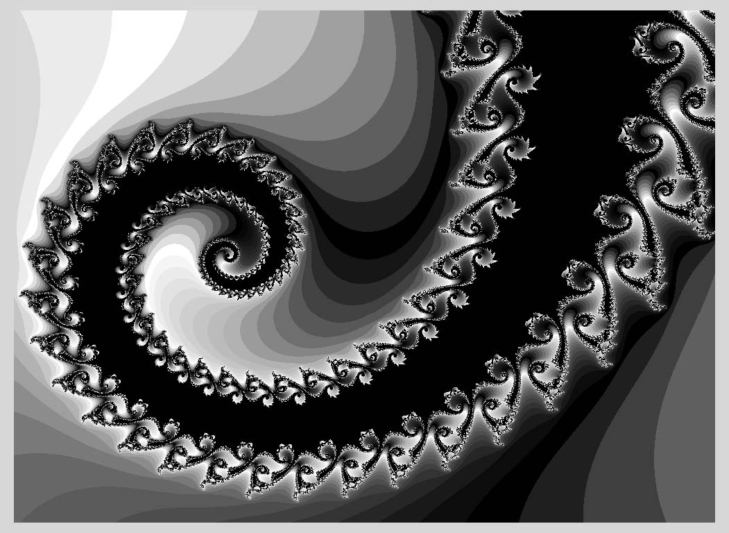 CLIFF CREGO | Violin Scroll Fractal, generated with XaoS