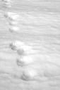 tracks_5-13-11_3