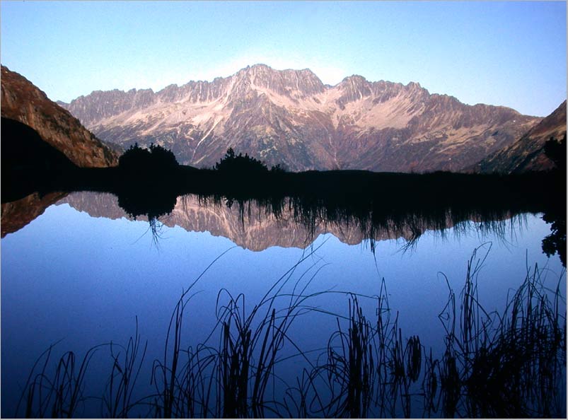 Alpine Moor