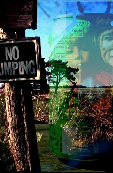 No Dumping Poster