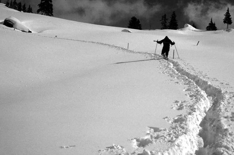 Winter Path